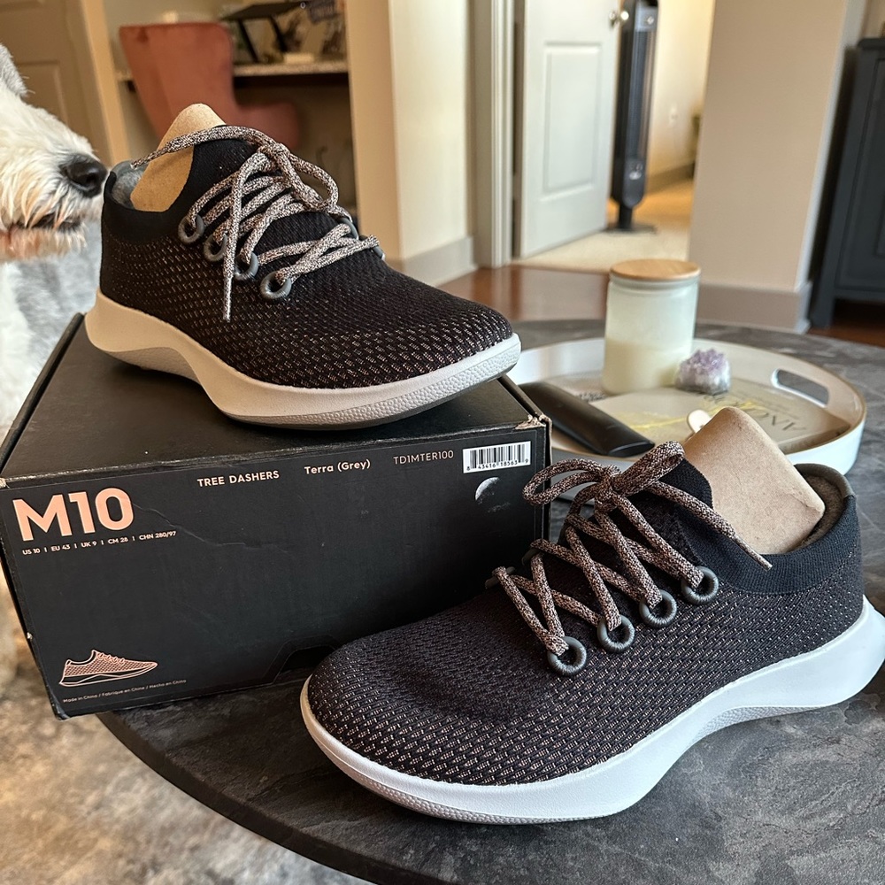 Brand New Allbirds Dasher